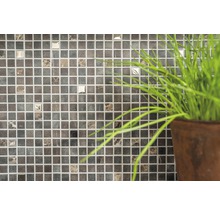 Nahaufnahme einer Wand mit Mosaikfliesen und Topfpflanze.