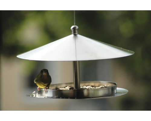 Vogel auf einem silberfarbenen Futterhaus mit Vogelfutter