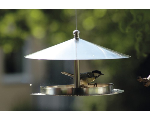 Vogel frisst aus einem hängenden Futterhaus aus Metall