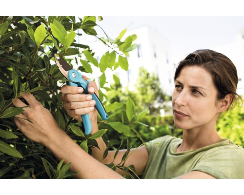 Frau schneidet Blätter mit einer Gartenschere