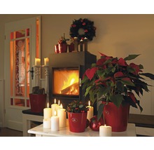 Weihnachtliche Dekoration mit Kamin, Adventskranz und Weihnachtssternen in roten Übertöpfen