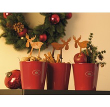 Weihnachtliche Dekoration mit roten Übertöpfen, Elchfiguren, Walnüssen, Zimtstangen und Tannenzweigen