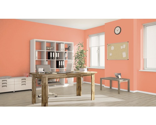 Büro mit Schreibtisch, Bürostuhl, Regal und Fenster