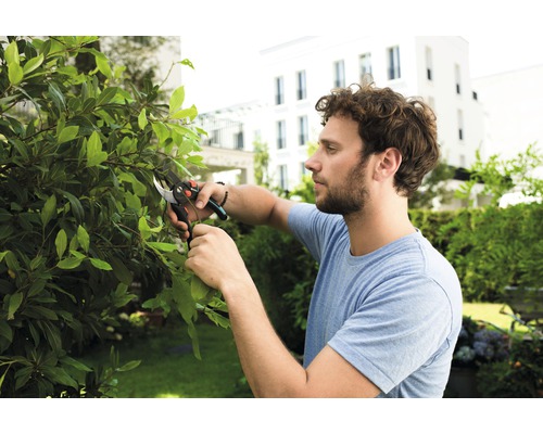 Ein Mann beschneidet im Garten eine Hecke mit einer Gartenschere.