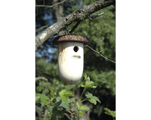 Nistkasten in Eichelform hängt an einem Baum