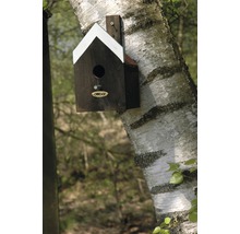 Vogelhaus aus Holz am Baumstamm