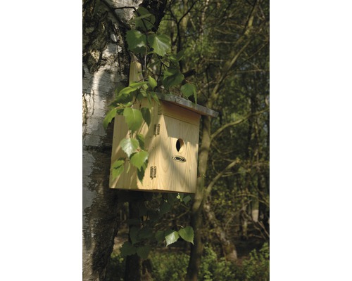 Holz-Vogelhaus an einem Baum befestigt