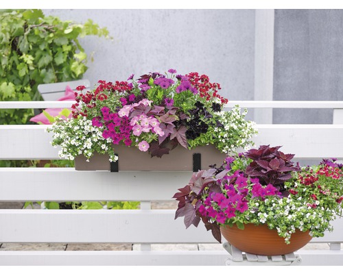 Balkon mit Blumenkasten und Blumentopf, bepflanzt mit verschiedenen Sommerblumen