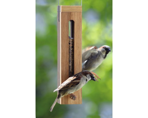 Vogelhaus mit Futter und Spatzen
