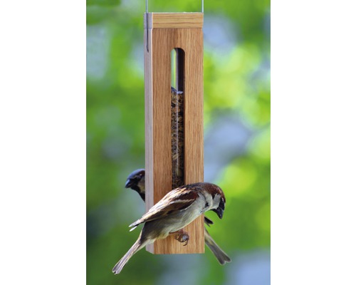 Vogelfutterhaus aus Holz mit zwei Spatzen