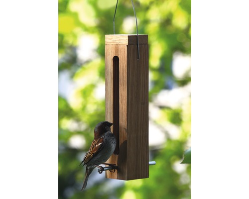 Vogelhaus aus Holz mit Spatz