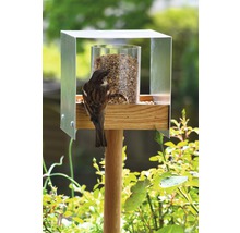 Vogelhaus mit Futter und einem Spatz