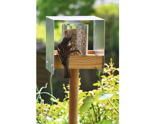 Vogelhaus mit Futter und einem Spatz