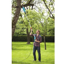 Mann schneidet Baum mit einer Hochentaster im Garten