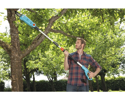 Mann benutzt eine Hochentaster Kettensäge zum Beschneiden eines Baumes.