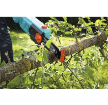 Akku-Astsäge im Einsatz an einem Baum