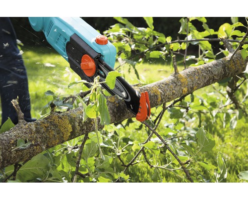 Akku-Astsäge im Einsatz an einem Baum