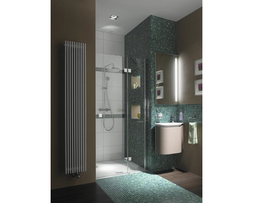 Badezimmer mit Dusche, Waschbecken und Heizkörper