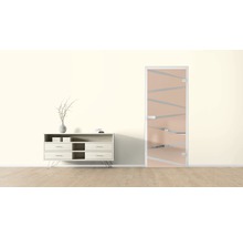 Raumansicht mit Kommode und Designtür aus Glas