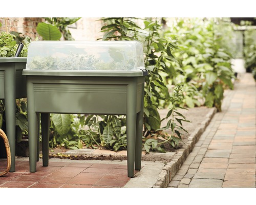 Hochbeet mit transparenter Abdeckung im Garten