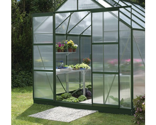 Gewächshaus mit Pflanzen und Gemüsesorten auf Tischen und Regalen