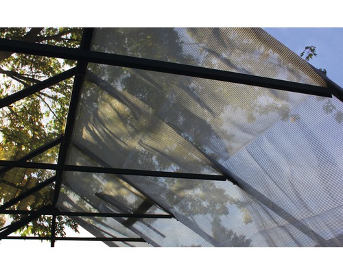 Detailansicht des Daches eines Gewächshauses mit Metallrahmen und lichtdurchlässigen Paneelen