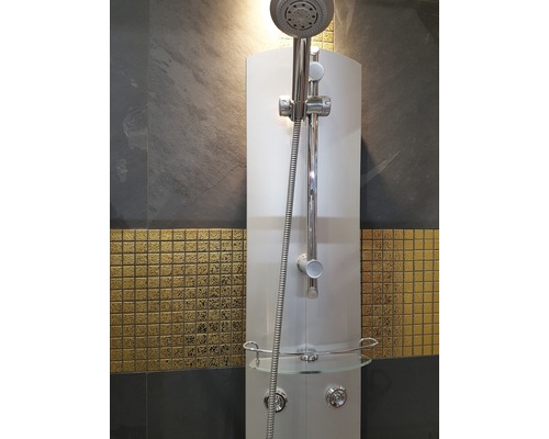 Duschpaneel mit Handbrause und Ablage im Badezimmer