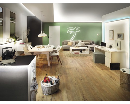 Helles Wohnzimmer mit Esstisch, Sofa, Schreibtisch und Holzboden