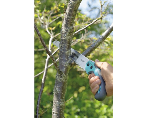 Gartenarbeit mit einer Astsäge beim Beschneiden eines Baumastes