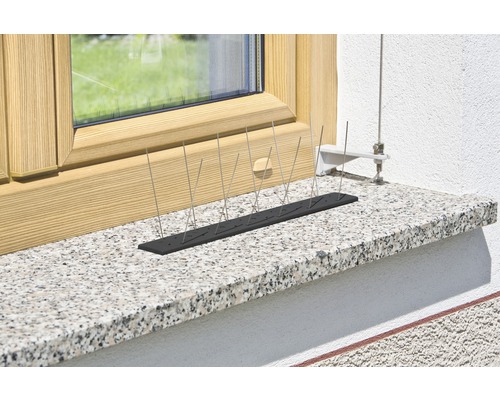 Taubenabwehrspikes auf einem Fensterbrett zur Vogelabwehr