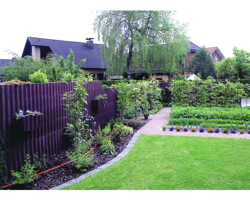 Garten mit Wellplattenzaun, Rasen und Pflanzen