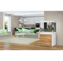 Wohnzimmer mit Aquarium auf Unterschrank