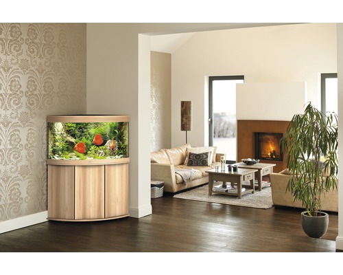 Eckaquarium mit Fischen in einem Wohnzimmer