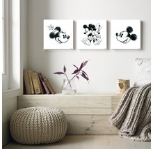 Dekorative Wandbilder mit Mickey Maus Motiven über einer Kommode mit Pflanzen und Dekoration
