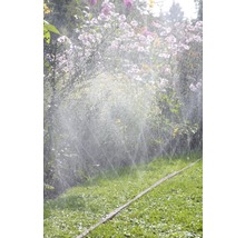Gartenszene mit Rasenbewässerung und Blumen