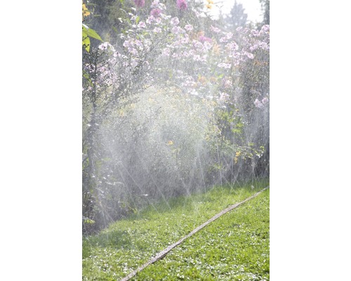 Gartenszene mit Rasenbewässerung und Blumen