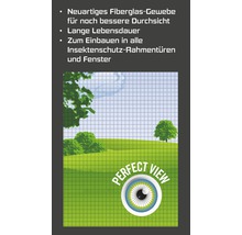 Illustration of an insect screen with a view of nature