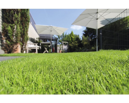 Gepflegter Rasen im Garten mit Gartenmöbeln und Sonnenschirmen