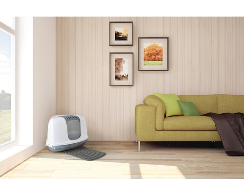 Wohnzimmer mit Katzentoilette, Sofa und Wanddekoration