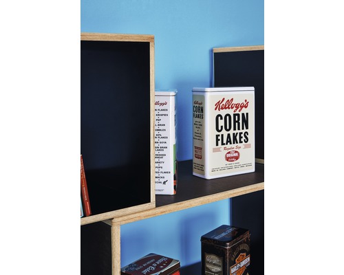 Regal mit Kellogg''s Cornflakes Dosen und dekorativen Dosen