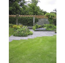 Garten mit Rasenfläche, Steinplattenweg und bepflanzter Pergola