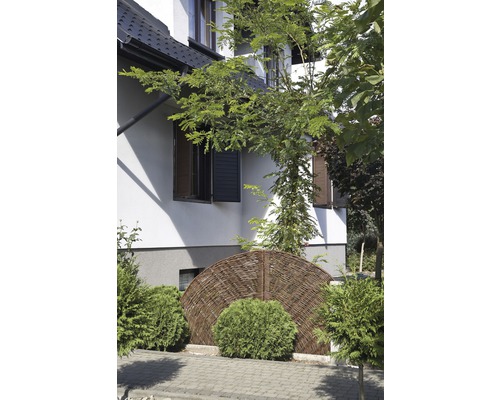 Garten mit Flechtzaun und Begrünung vor einem Wohnhaus