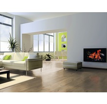 Helles Wohnzimmer mit Sofa, Fenster, Pflanzen, elektrischem Kamin und Holzboden