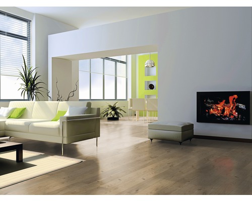 Helles Wohnzimmer mit Sofa, Fenster, Pflanzen, elektrischem Kamin und Holzboden