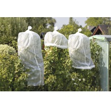 Gartenansicht mit Pflanzen die mit Winterschutzvlies bedeckt sind.