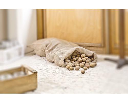 Sack mit Kartoffeln