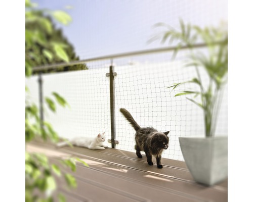 Aufnahme eines Katzennetzes auf einem Balkon mit zwei Katzen