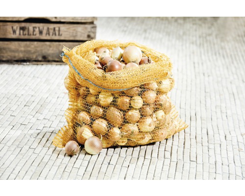 Netz mit Speisezwiebeln