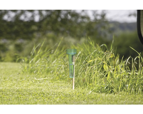 Regenmesser im Gras