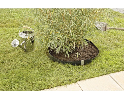 Szene mit Bambuspflanze, Rasenkante, Gießkanne und Spaten im Garten